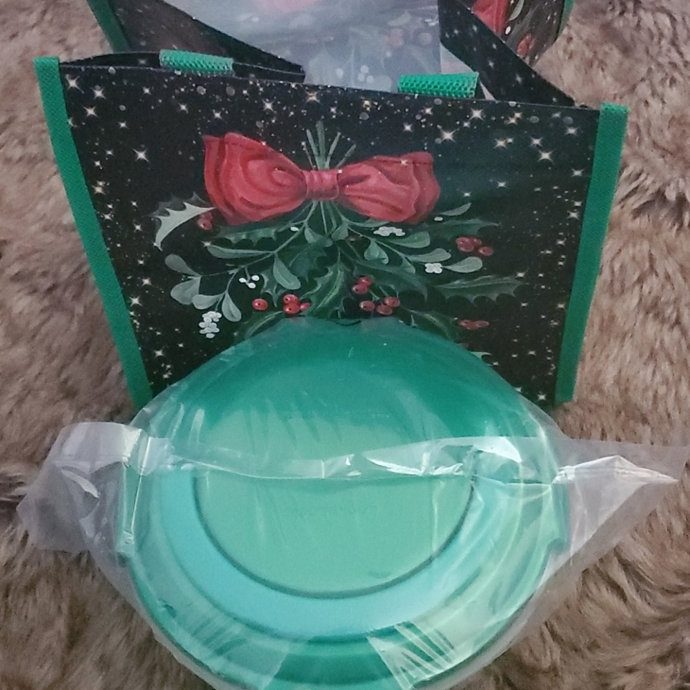 Lock and lock circle green handle matching tote